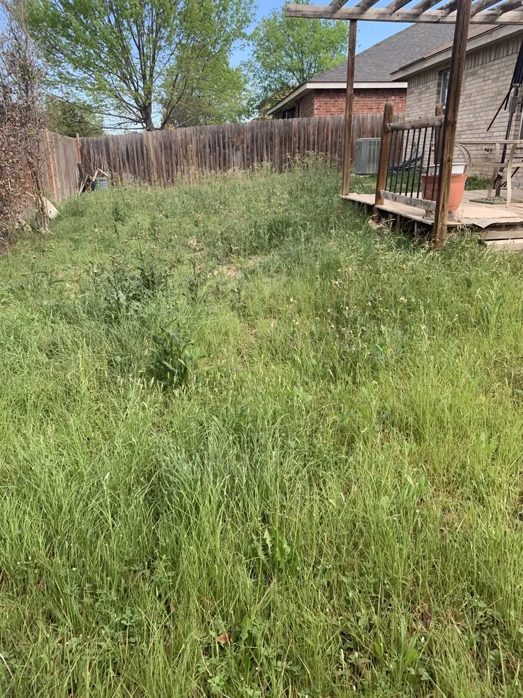 Custom garden landscaping in San Antonio, TX - Agave Landscaping and Maintenance