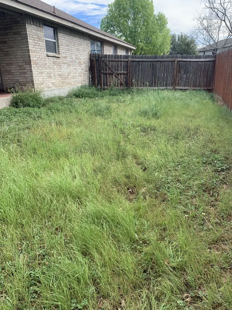 Top-rated residential landscaping with custom design across San Antonio, TX - Agave Landscaping and Maintenance