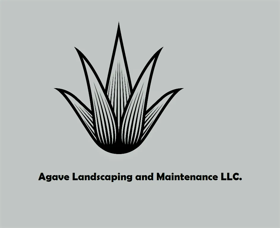 Custom outdoor landscaping in San Antonio, TX by Agave Landscaping and Maintenance