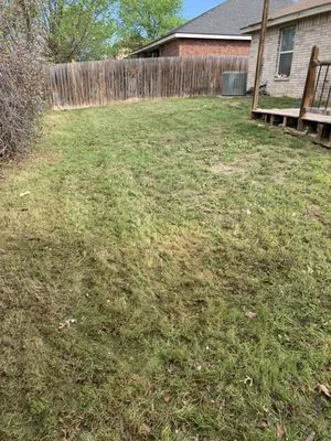 Agave Landscaping and Maintenance Logo