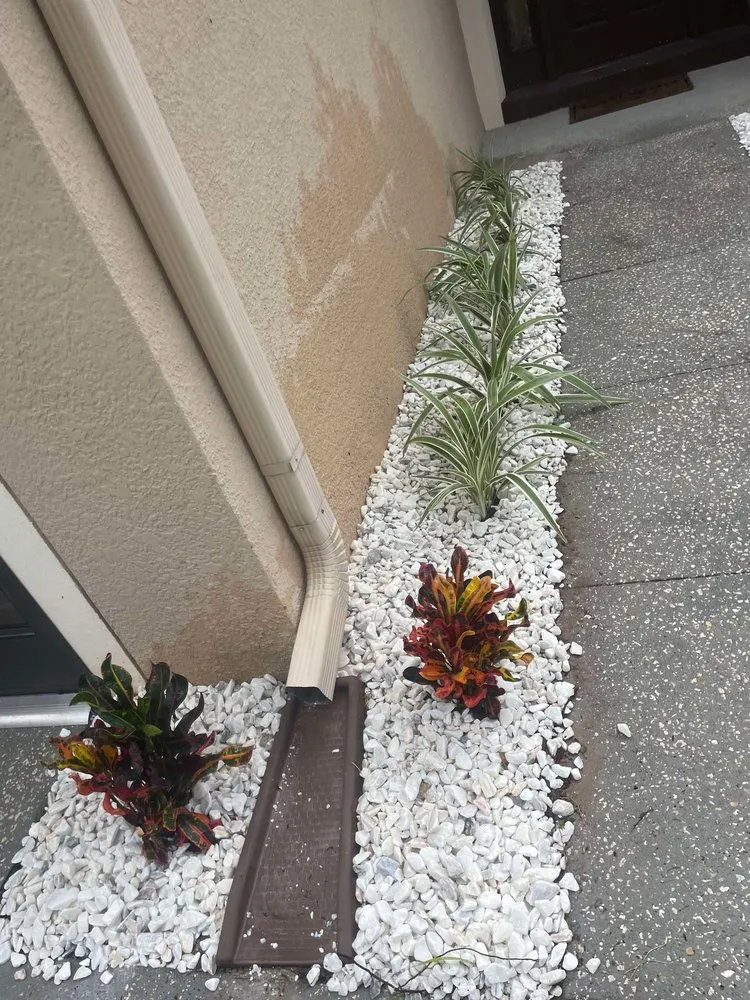Top-rated yard maintenance for year-round maintenance across Haines City, FL - Agave Landscaping Service