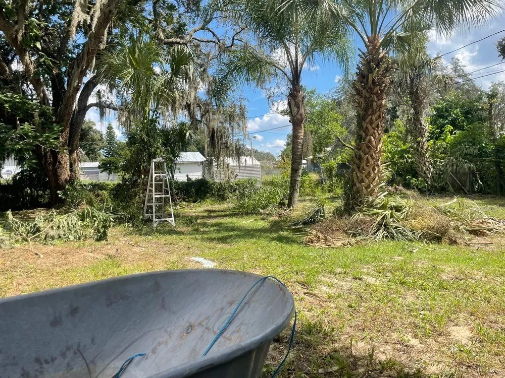 Professional outdoor landscaping in Haines City, FL by Agave Landscaping Service