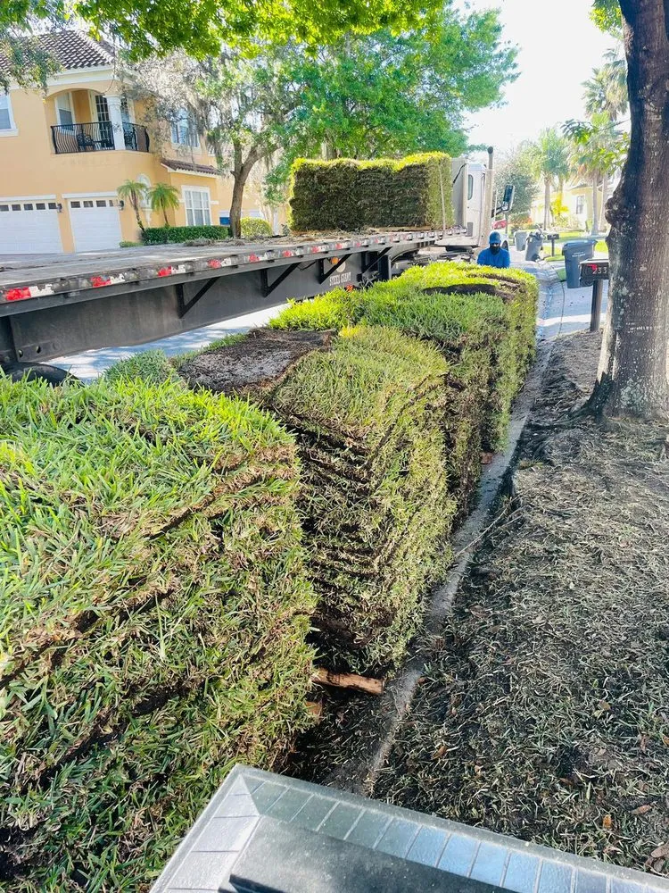 Professional residential landscaping experts serving Haines City, FL - Agave Landscaping Service