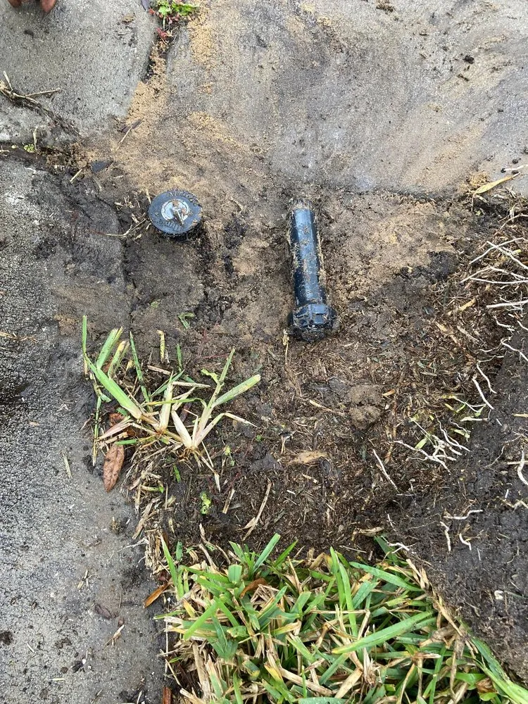 Reliable yard maintenance with custom design across Haines City, FL - Agave Landscaping Service