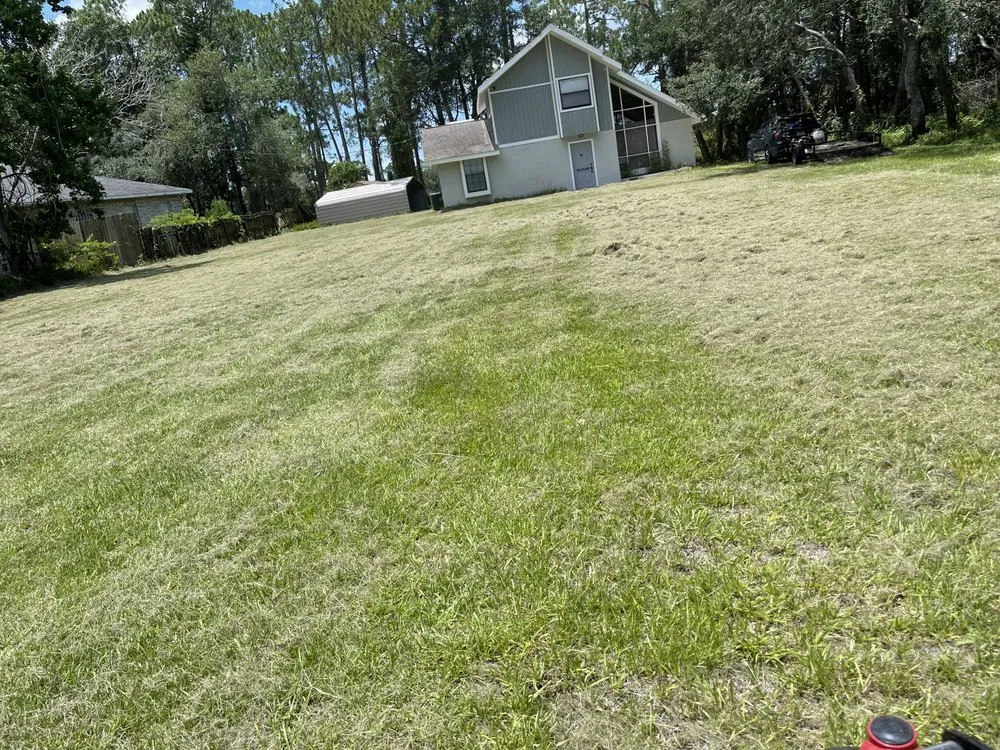 Trusted landscaping services in DeLand, FL - Agave Lawn Care