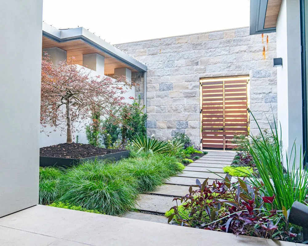 Custom yard cleanup service experts serving Georgetown, TX - Agave LD