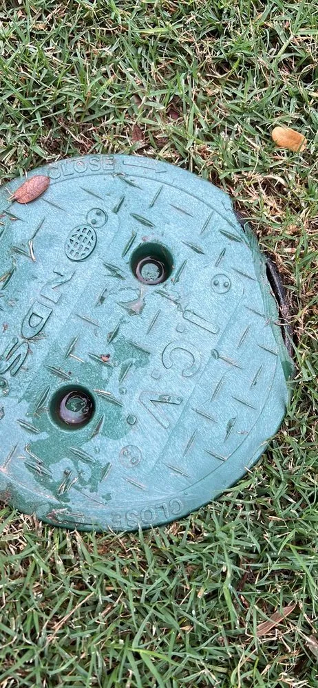 Affordable landscape installation in Georgetown, TX - Agave LD