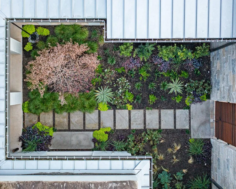 Reliable outdoor landscaping in Georgetown, TX by Agave LD