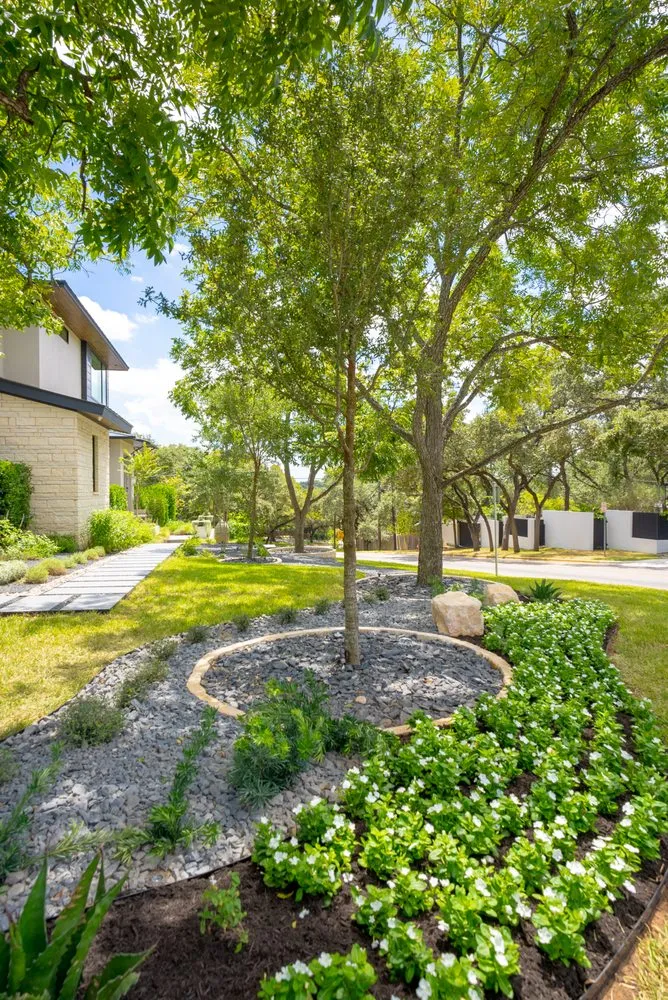 Affordable outdoor landscaping with custom design in Rollingwood, TX by Agave LD