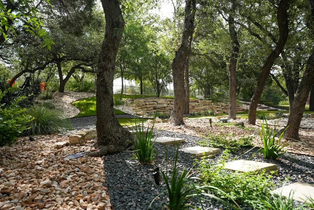Professional yard cleanup service near you in Rollingwood, TX by Agave LD