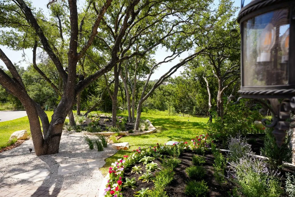 Expert lawn care service near you across Rollingwood, TX - Agave LD