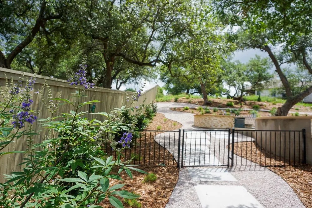 Affordable landscape installation experts serving Rollingwood, TX - Agave LD