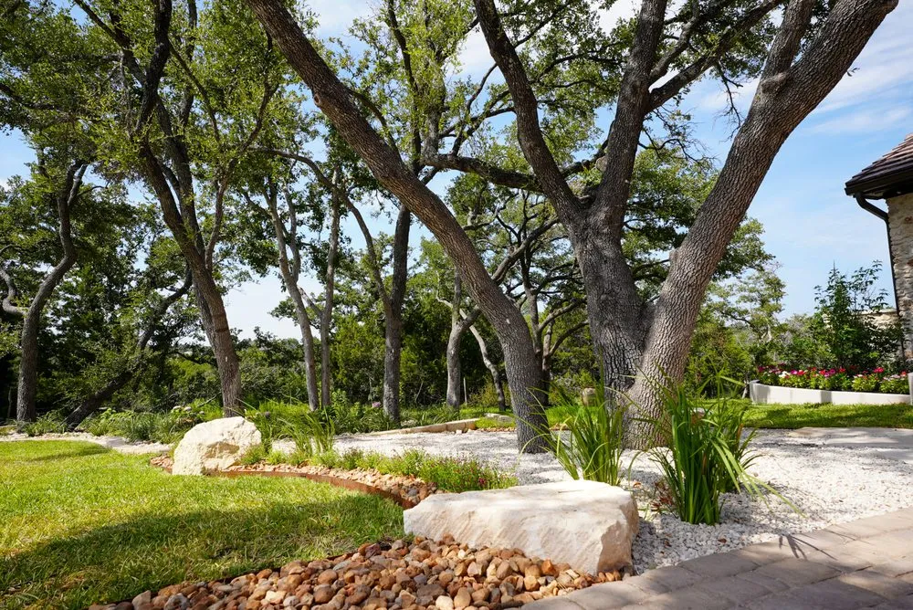 Expert outdoor landscaping for year-round maintenance across Rollingwood, TX - Agave LD