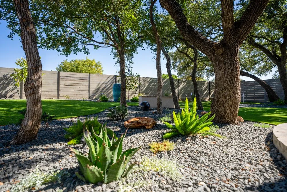 Affordable garden landscaping experts serving Rollingwood, TX - Agave LD