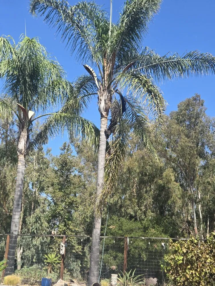 Affordable outdoor landscaping for residential properties across Livermore, CA - Agave Luxury Landscape