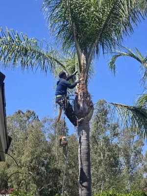 Agave Luxury Landscape Logo