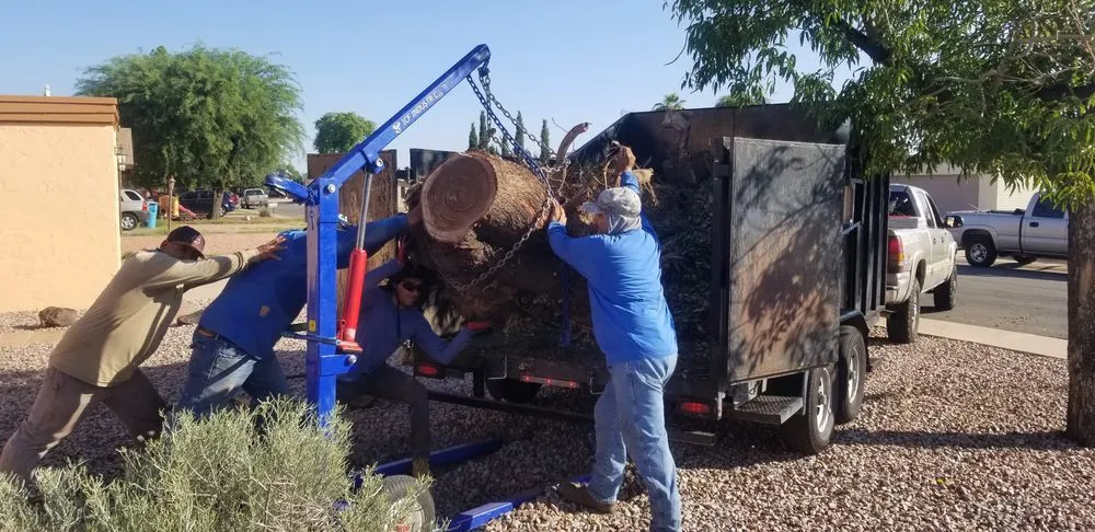 Professional landscape installation for outdoor upgrades in Scottsdale, AZ by Agave Water Systems