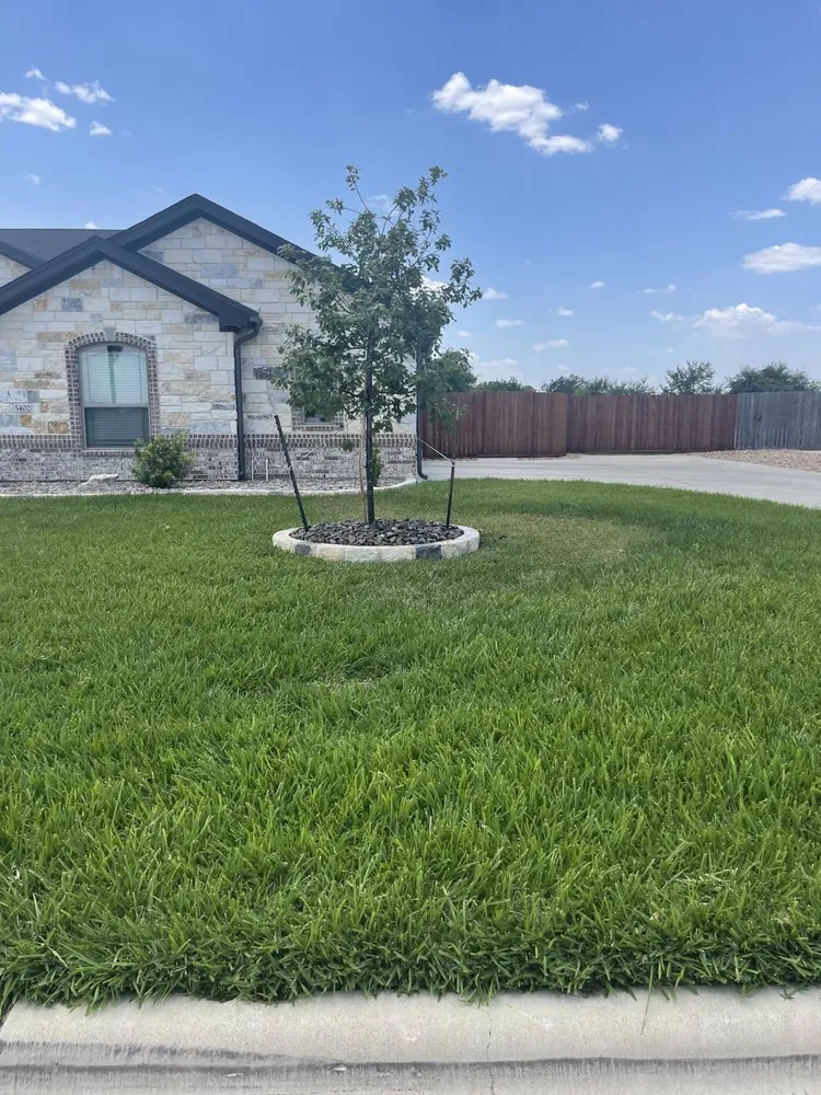 Top-rated garden landscaping for beautiful yards across Temple, TX - Agaves Landscape Construction & Irrigation