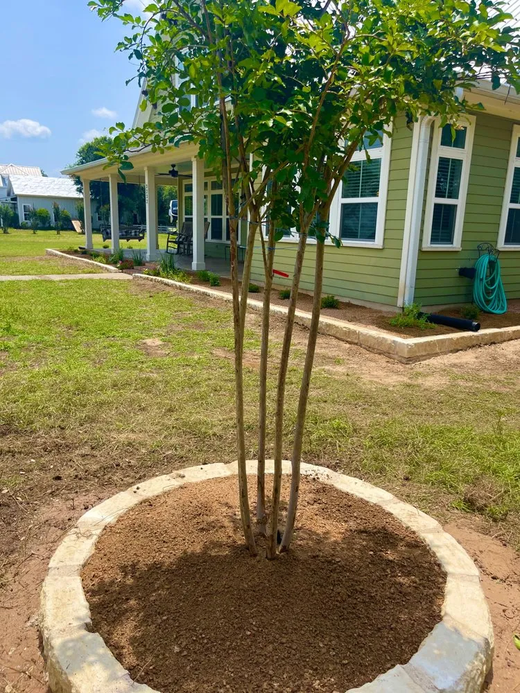 Professional landscape design experts serving Temple, TX - Agaves Landscape Construction & Irrigation