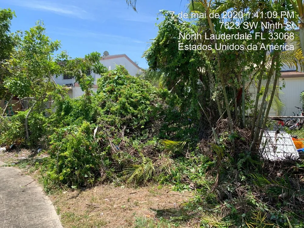 Reliable outdoor landscaping for homes across Winter Garden, FL - Agc General Services