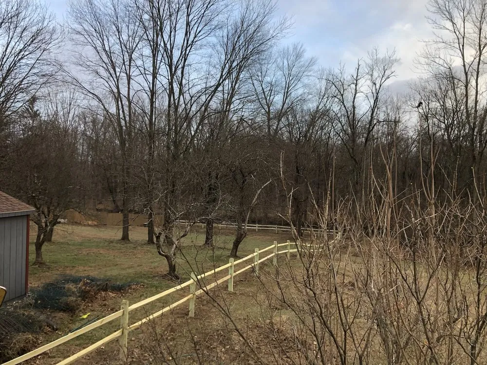 Professional lawn care service in Hopewell Junction, NY - AGD Landscaping & Property Management