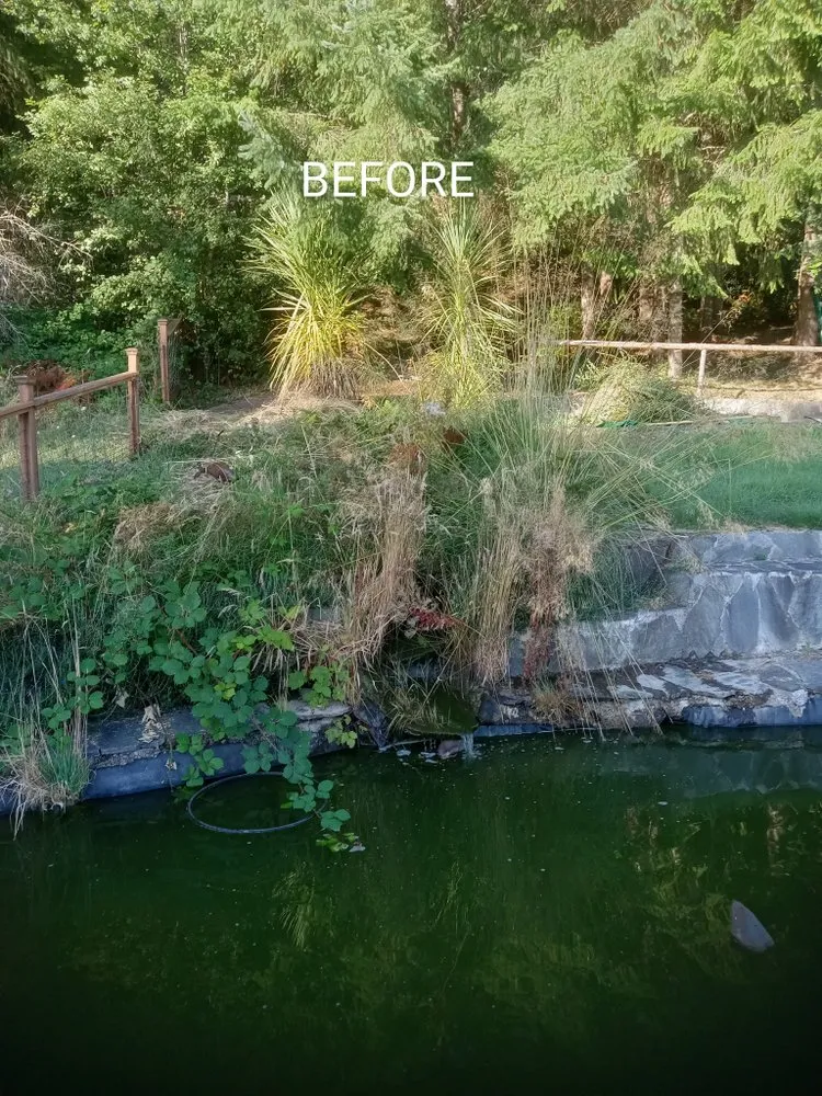 Professional lawn mowing service experts serving creswell, OR - Agee Lawn & property maintenance