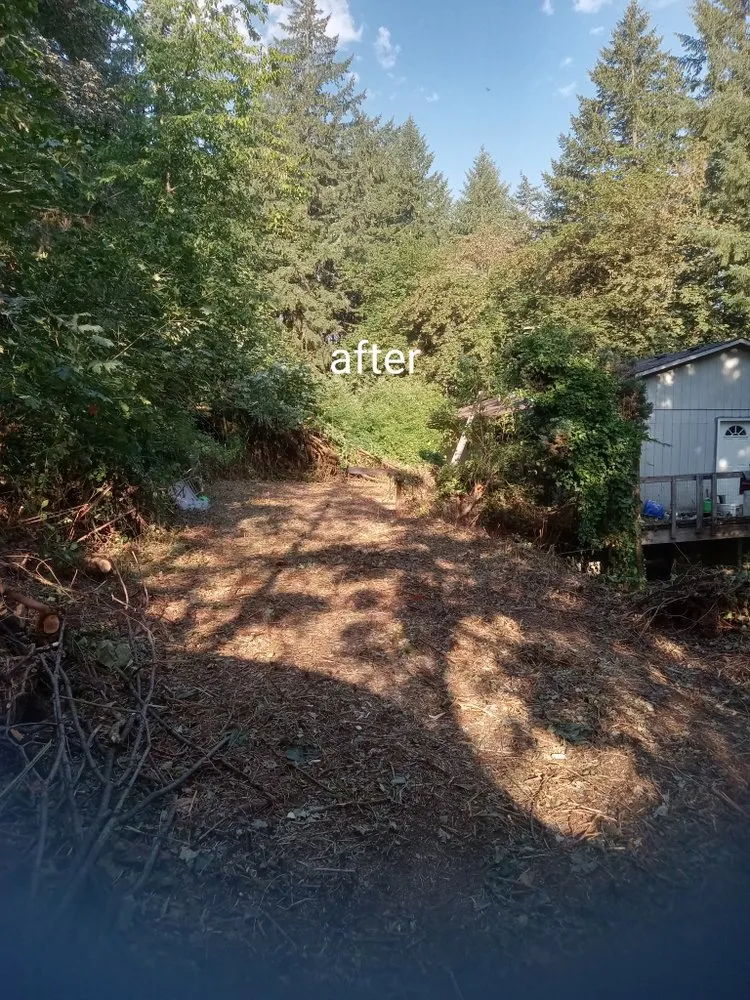 Affordable landscape design experts serving creswell, OR - Agee Lawn & property maintenance