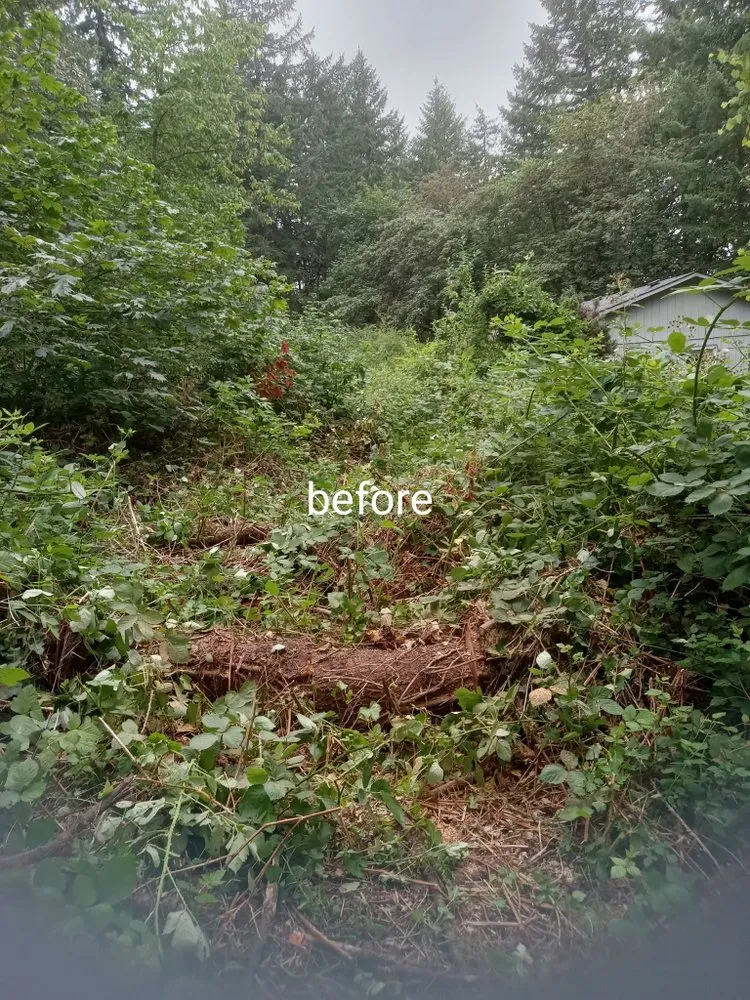 Reliable garden landscaping experts serving creswell, OR - Agee Lawn & property maintenance