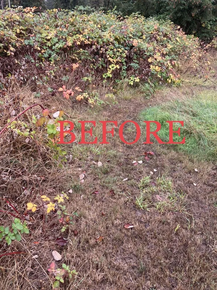 Professional residential landscaping for outdoor upgrades across creswell, OR - Agee Lawn & property maintenance