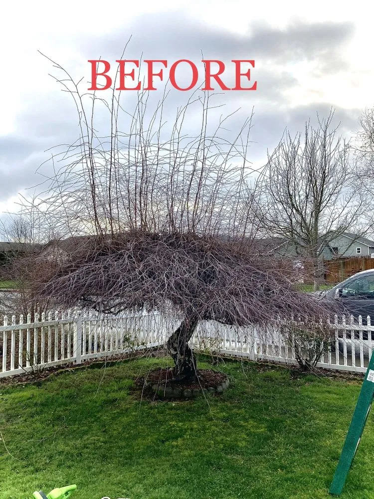 Top-rated garden landscaping for year-round maintenance in creswell, OR by Agee Lawn & property maintenance