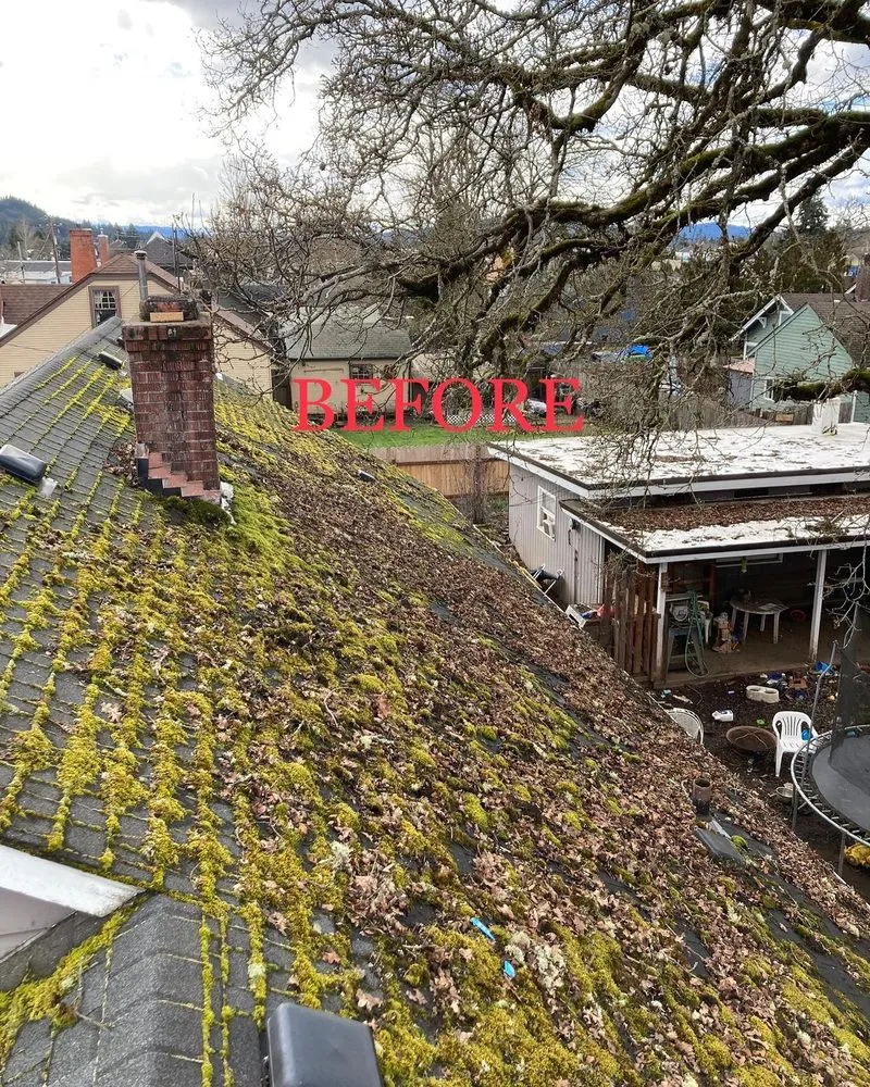 Local outdoor landscaping for year-round maintenance across creswell, OR - Agee Lawn & property maintenance