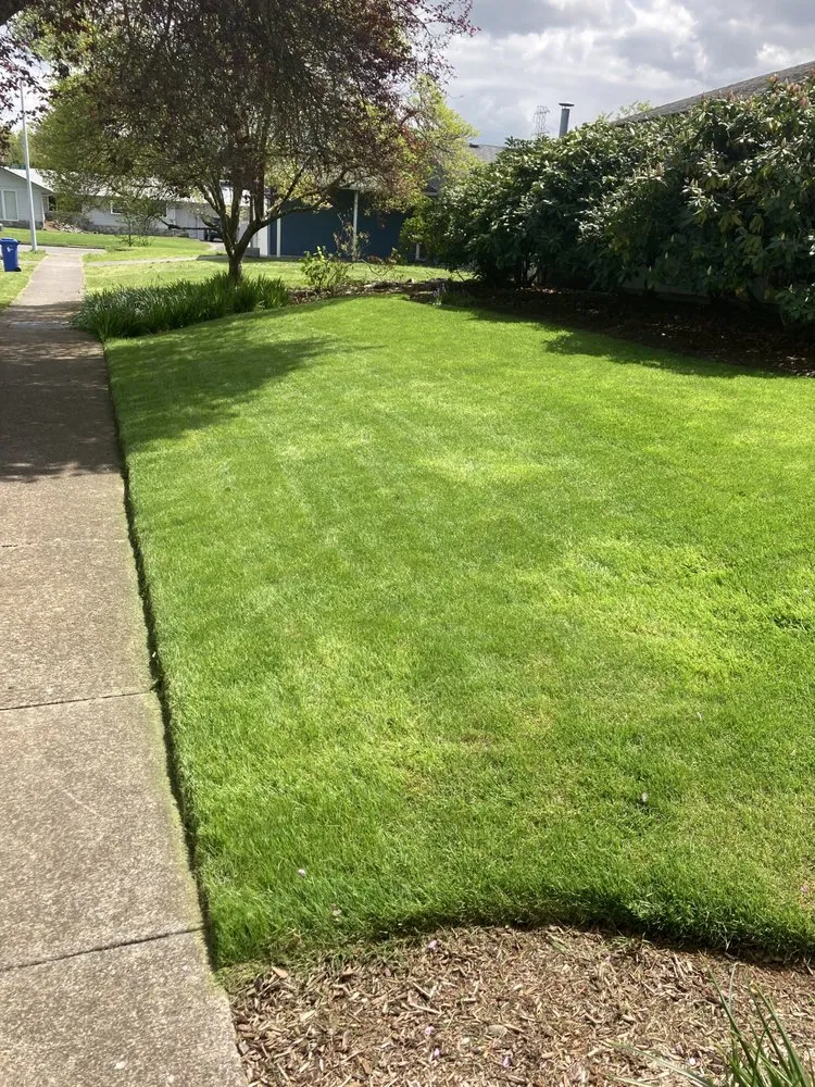 Expert lawn care service near you in creswell, OR by Agee Lawn & property maintenance