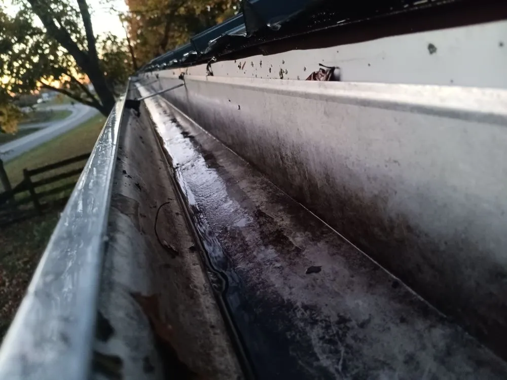 Expert residential landscaping in Campbellsville, KY - Agee's Lawn Care and Landscaping