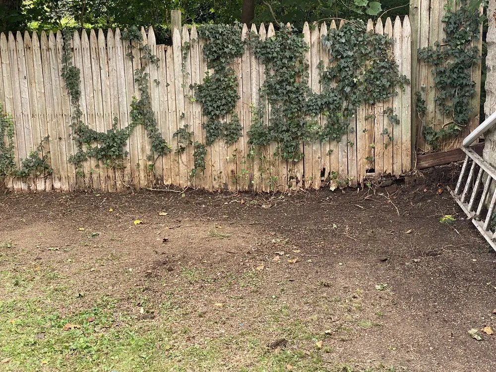 Reliable lawn mowing service in Yonkers, NY - Ageless Landscape and Lawn Care