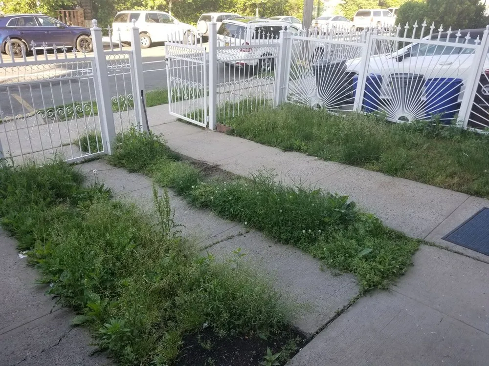 Custom yard cleanup service in Yonkers, NY - Ageless Landscape and Lawn Care