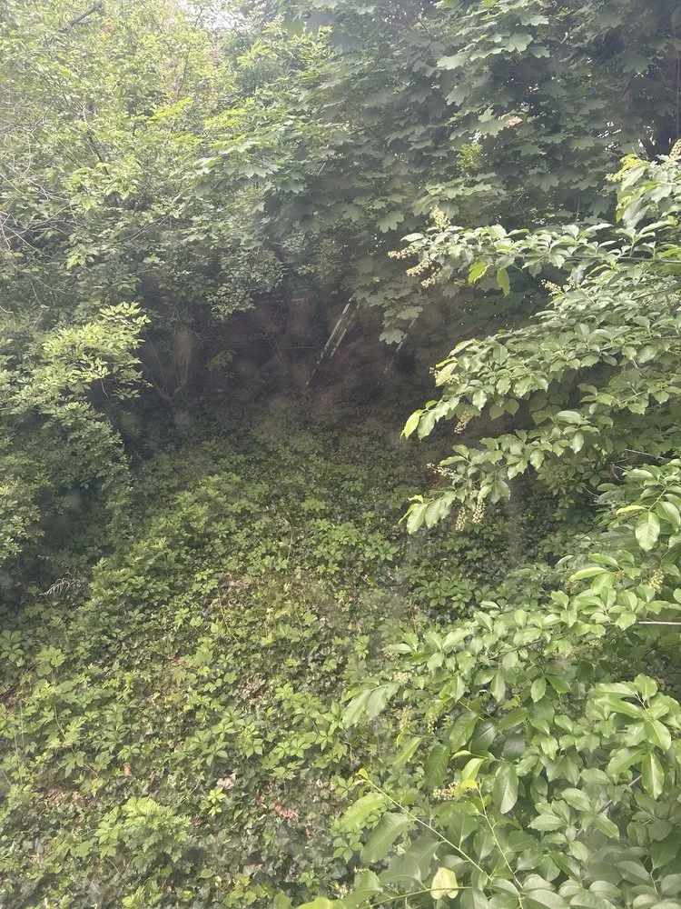 Local landscape design for year-round maintenance in Yonkers, NY by Ageless Landscape and Lawn Care