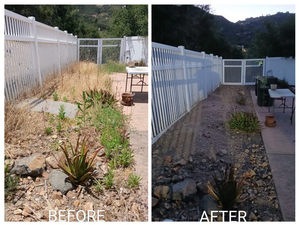 Reliable landscape design experts serving Escondido, CA - Agent Green Landscaping