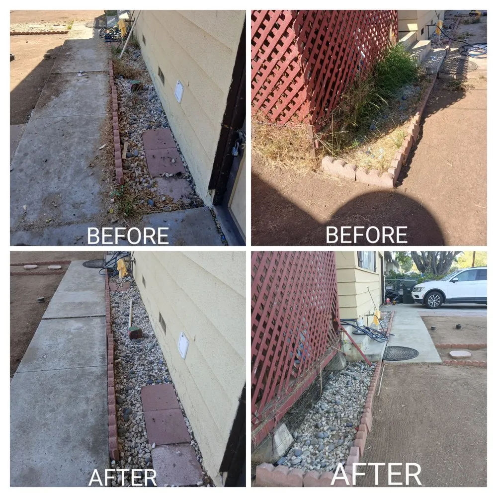 Affordable yard cleanup service in Escondido, CA by Agent Green Landscaping
