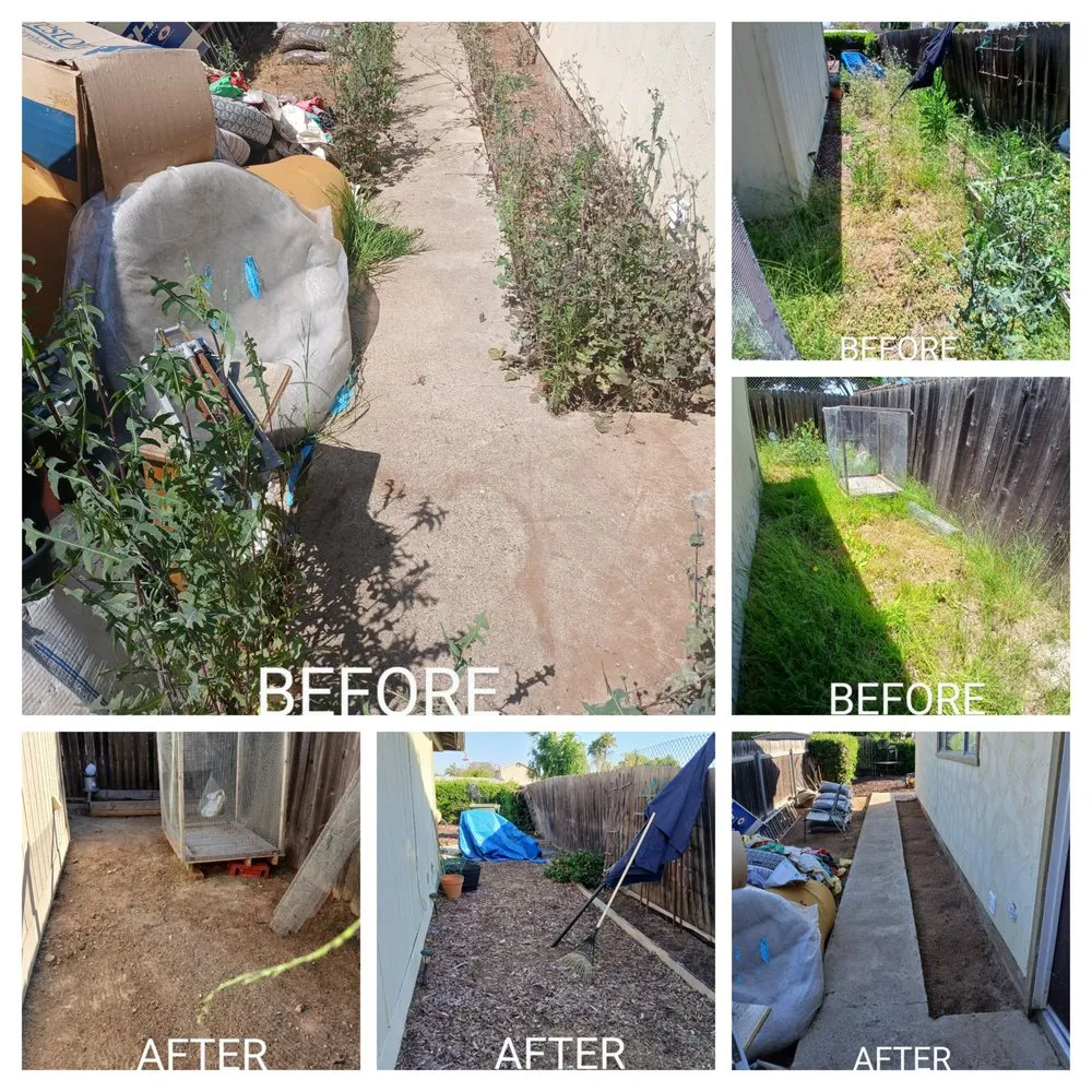 Professional landscaping services in Escondido, CA - Agent Green Landscaping