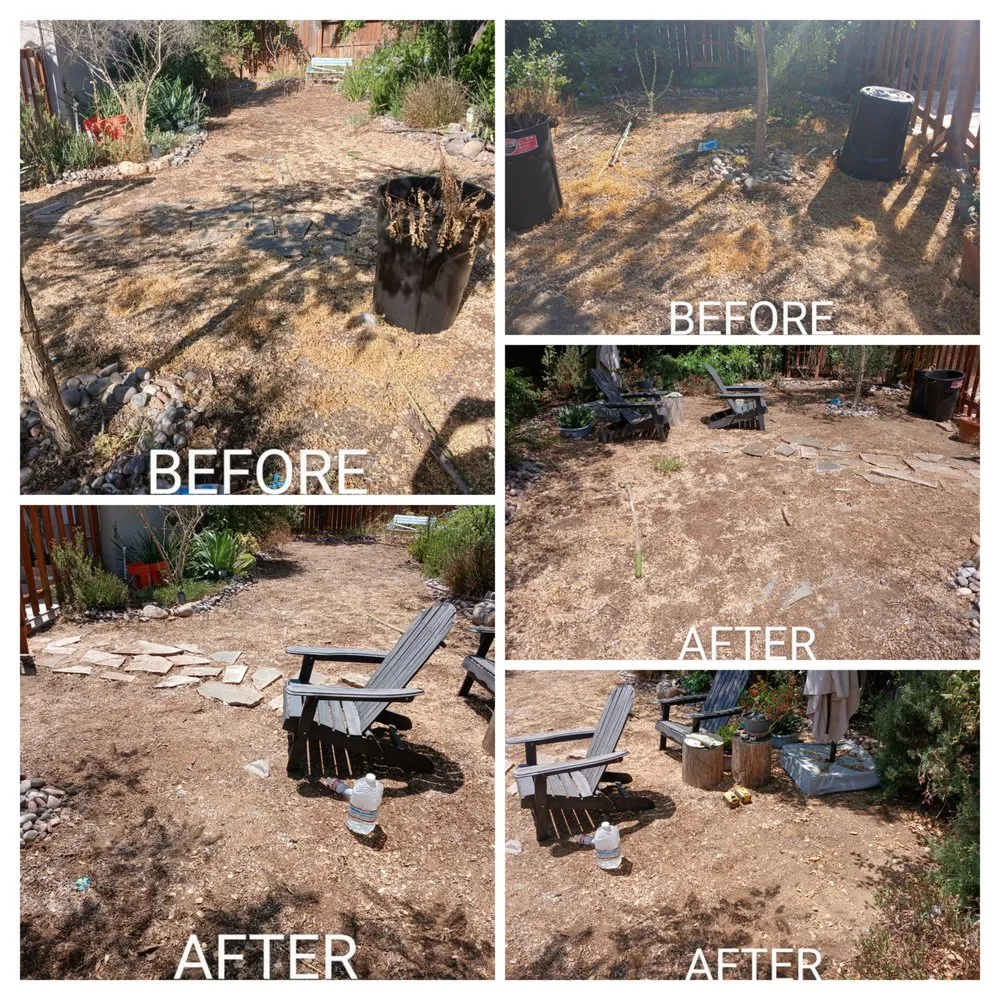 Reliable residential landscaping for year-round maintenance across Escondido, CA - Agent Green Landscaping