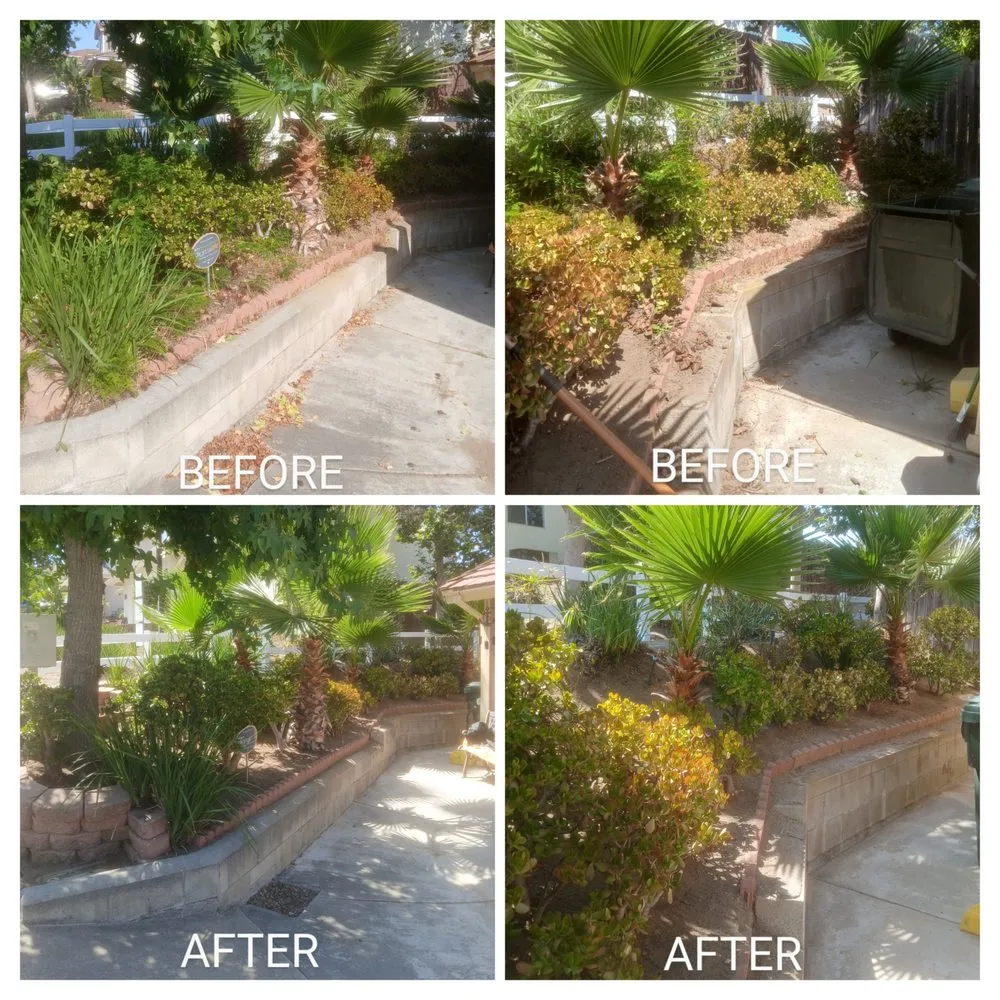 Affordable lawn mowing service experts serving Escondido, CA - Agent Green Landscaping