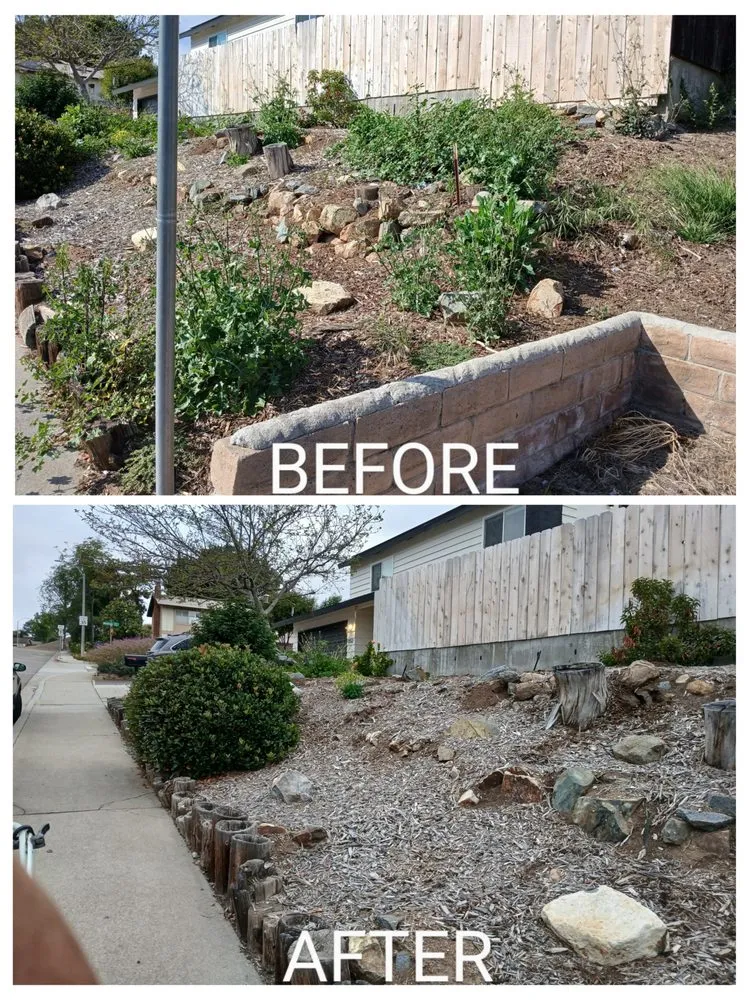 Custom landscape installation in Escondido, CA by Agent Green Landscaping
