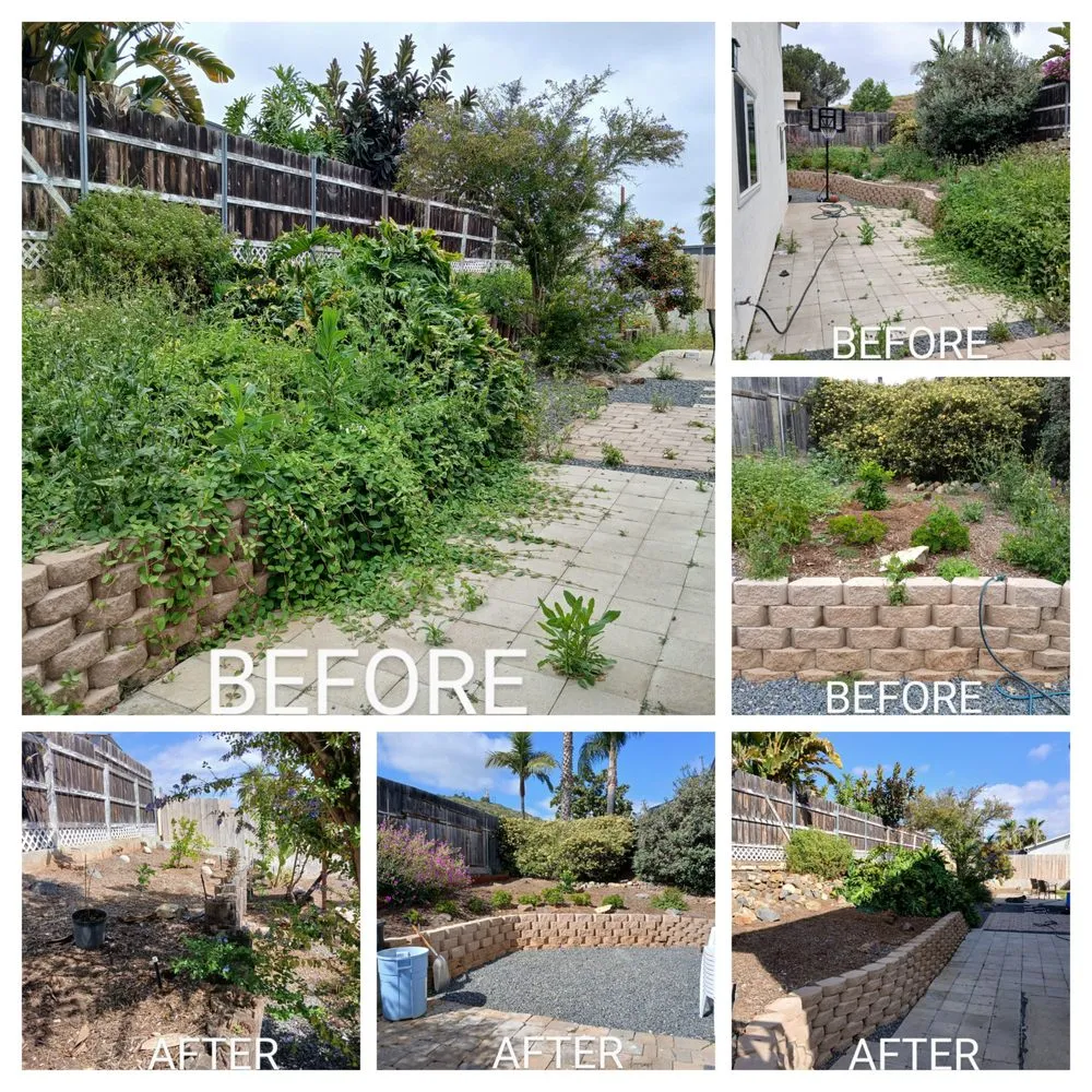 Top-rated residential landscaping with custom design in Escondido, CA by Agent Green Landscaping