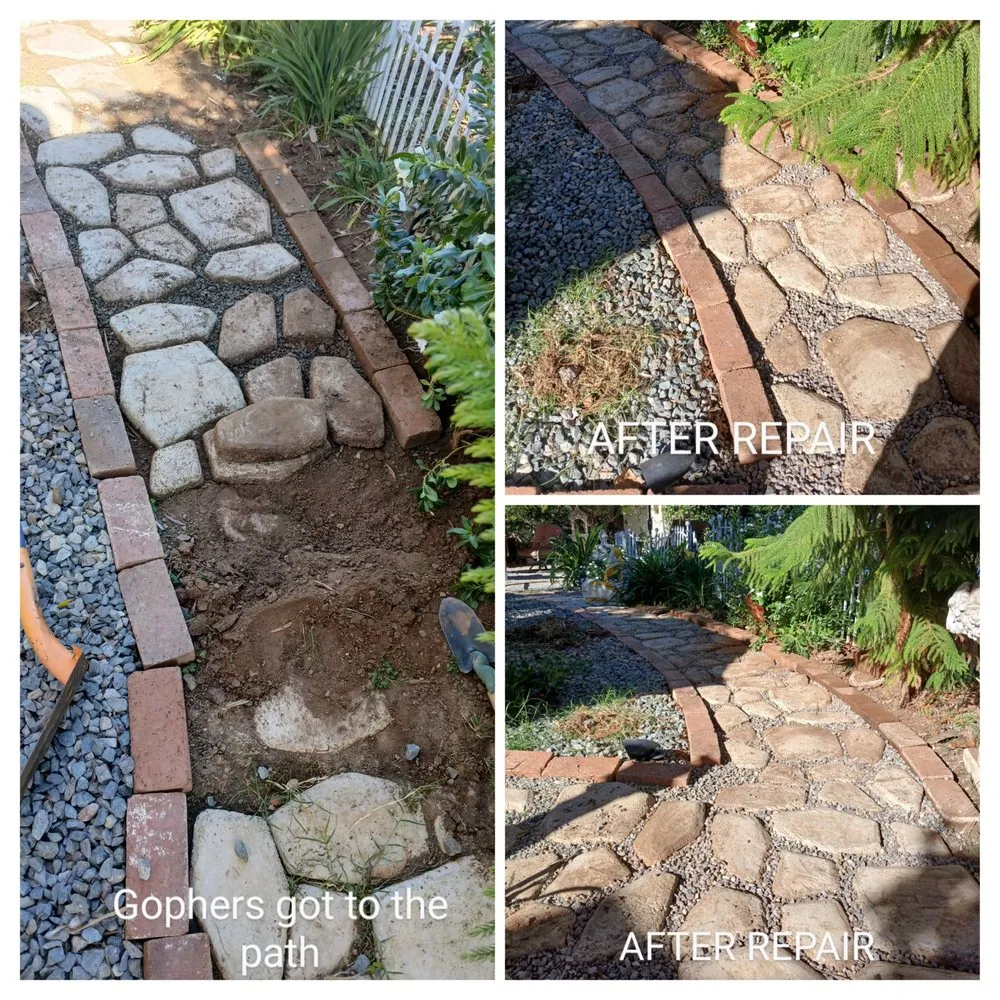 Affordable yard maintenance with custom design in Escondido, CA by Agent Green Landscaping