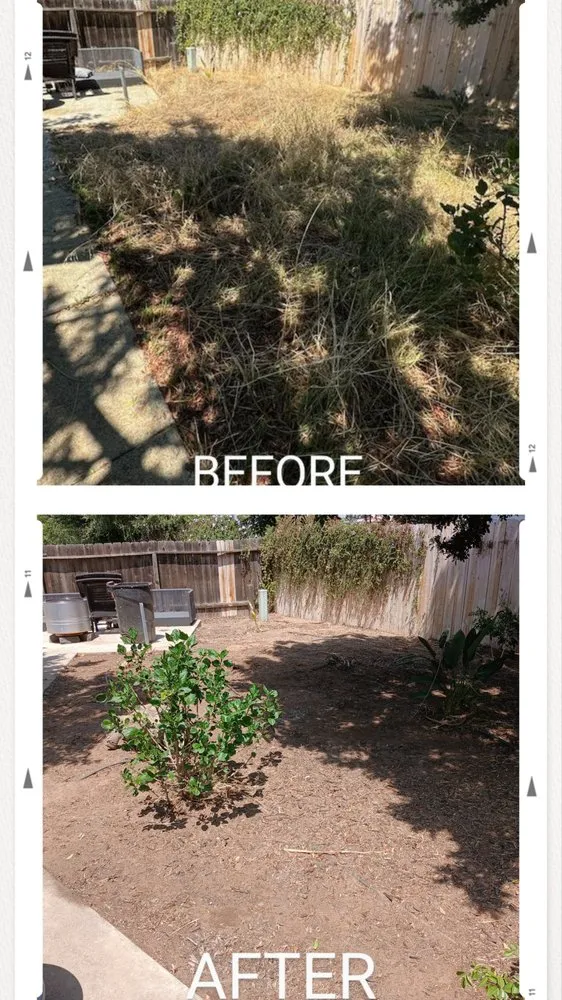 Top-rated lawn care service experts serving Escondido, CA - Agent Green Landscaping