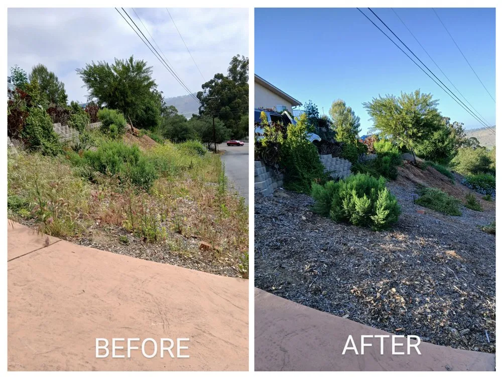 Professional landscape installation for beautiful yards across Escondido, CA - Agent Green Landscaping