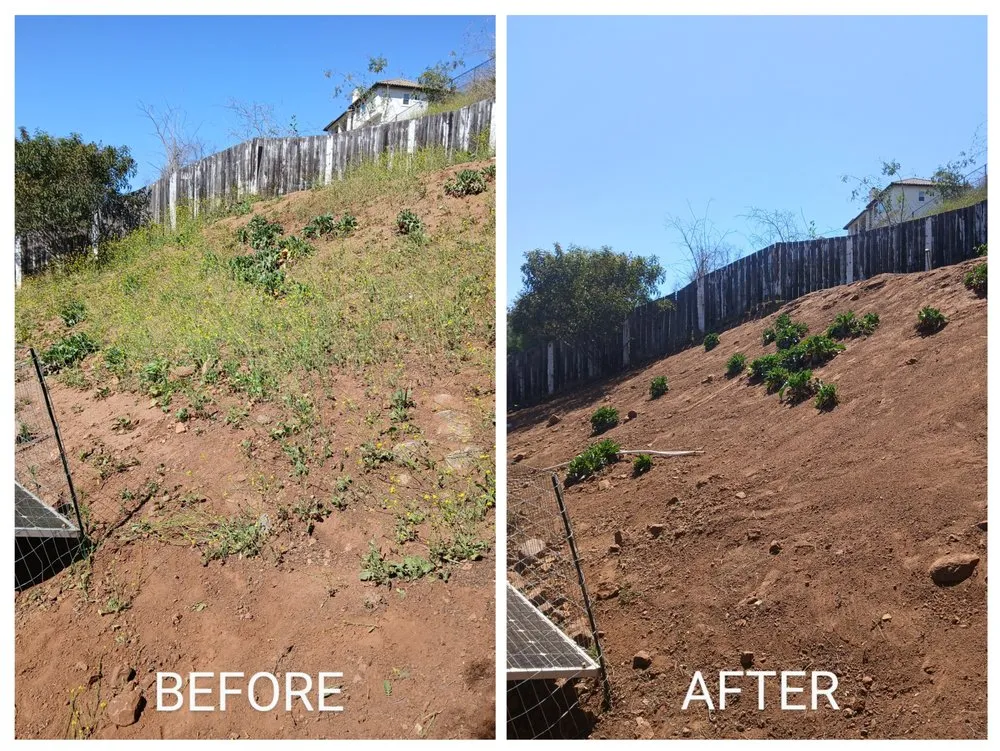 Reliable landscaping services near you in Escondido, CA by Agent Green Landscaping