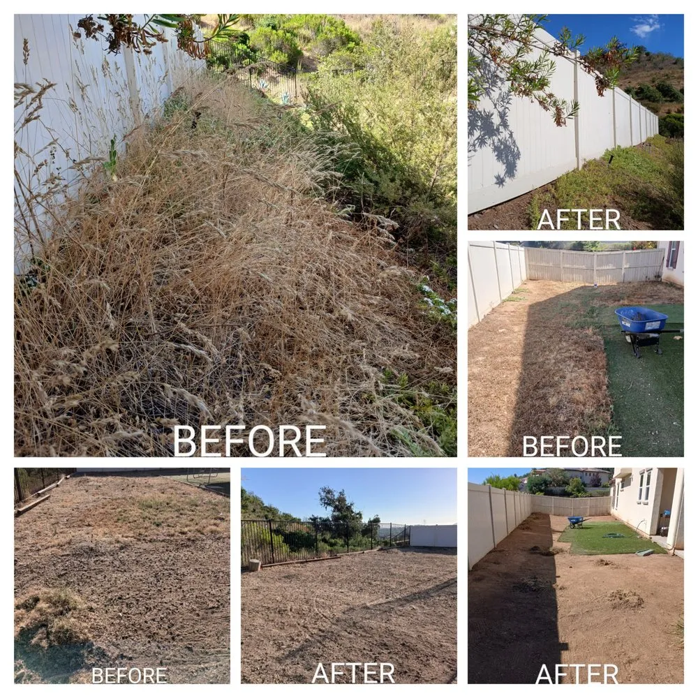 Trusted landscape design with custom design across Escondido, CA - Agent Green Landscaping