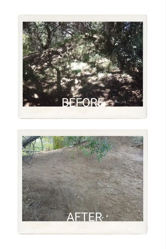 Custom lawn mowing service in Escondido, CA by Agent Green Landscaping