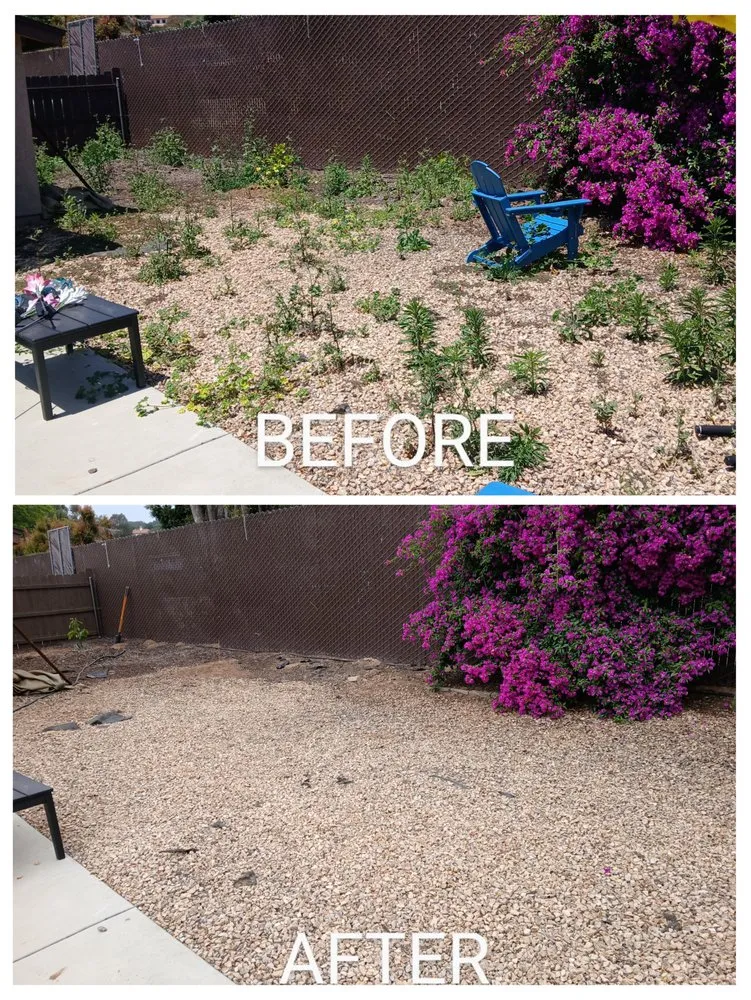 Local residential landscaping for residential properties in Escondido, CA by Agent Green Landscaping